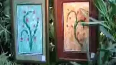 Bodrumlu Yabancıların Ebru Sanatı Merakı