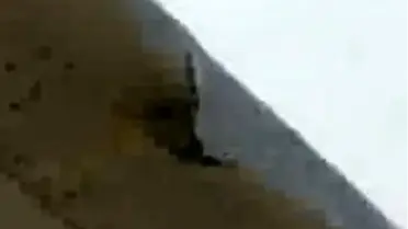 İşte Tehlike Atlatan Uçak