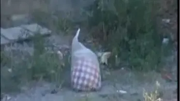 Şüpheli Paket Jandarmayı Harekete Geçirdi