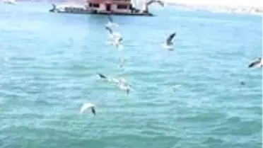 Yaz Bitmeden Yapılacak 20 Şey