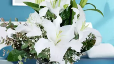 Çifte Bayram Kutlaması