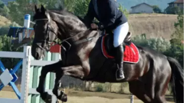 Kupalar Sahiplerini Buldu