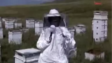 Dünya Arıcılığında Türkiye İkinci Sırada