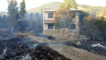 Pülümür'de Ormandan Çıkan Yangında Meyve Ağaçları da Yandı