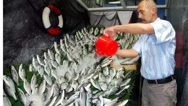 Balıkçılar Sezonu Açtı