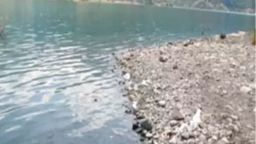 Serinlemek İstedi, Canından Oldu