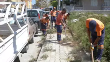 Toplu Temizlik Çalışması