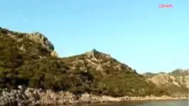 Yaban Keçileri Kaçak Avcıların Hedef Tahtası Oldu