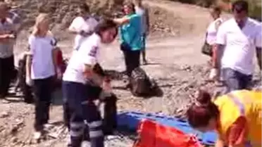 Fethiye'de Tur Midibüsü Kaza Yaptı