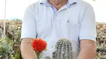 4 Bin Çeşit Kaktüs Yetiştiriyor