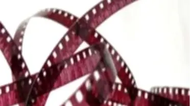 Uluslararası Müslüman Film Festivali Sona Erdi