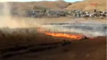 Kafkas Üniversitesi Kampüsü'nde 2 Bin Ağaç Yandı