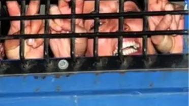 İstanbul'da Terör Operasyonu: 12 Gözaltı