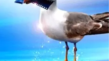 Altın Portakal'da Uluslararası Yarış Başladı