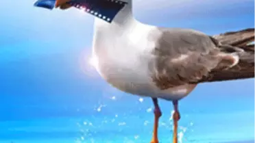 Ve Kadın Altın Portakal'a Dokundu