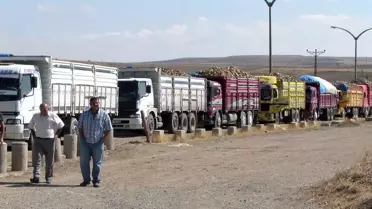 Sorgunlu Pancar Çiftçilerinin Kuyruk Çilesi