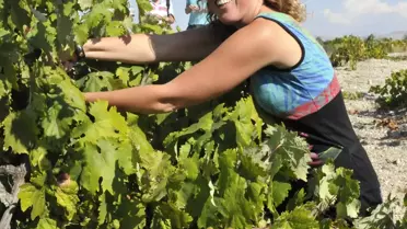 Hollanda'lı Üst Düzey Polis Yöneticileri Bağ Bozumunda