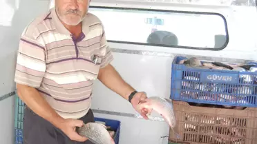 Irak'a İsrail Sazanı İhracatı