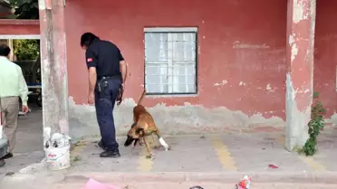 'lıves', Kırık Ayakla Uyuşturucu Aradı