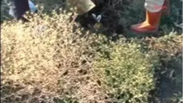 Kadın Savcıdan Babaya Bebek Tepkisi