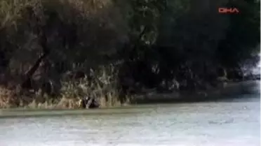 Felaketin Yaraları Sarılıyor