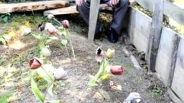 Minik Güreşçi, Kafasına Aldığı Darbe Sonucu Ölmüş