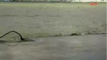 Zonguldak'ta Fırtına Yaşamı Olumsuz Etkiliyor Zonguldak'ta ve Ereğli İlçesi'nde Etkili Olan Fırtına, Kıyılarda Dev Dalgalar Oluşturdu.