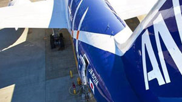 'Plastik Boeing' İlk Ticari Seferini Yaptı