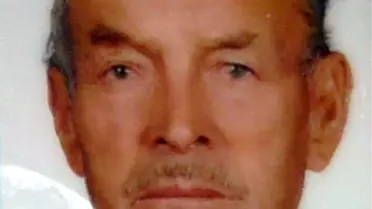 At Arabası Altında Can Verdi