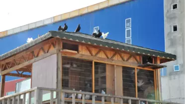 Hayvan Bakım ve Rehabilitasyon Merkezi