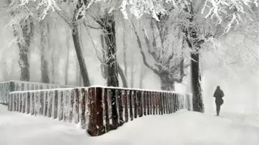 2011'in En İyi Fotoğrafları Seçildi