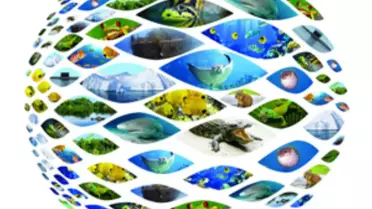 Akvaryum Sizleri Bekliyor