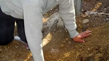 Yalovalı Halk Tedirgin