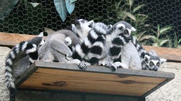 İzmir Doğal Yaşam Parkı'na Ziyaretçi Akını