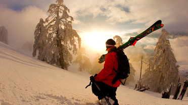 Summit Series Koleksiyonu