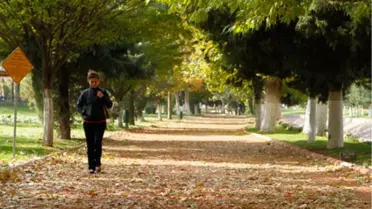 Haydi Gaziantep, Gazel Depelemeye