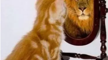 Bir Psikolojik Rahatsızlık: Narsisizm