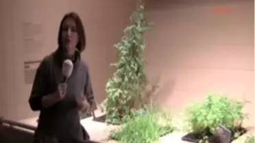 Ek İnsanlık Tarihinin Anahtarı; Buzadam Ötzi