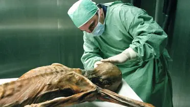 İnsanlık Tarihinin Anahtarı Onda