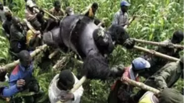 Daha Önce Hiç Görmediğiniz Kareler