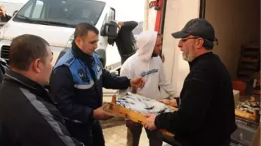 Kaçak Avlanan 11 Kasa Çinekopa El Konuldu