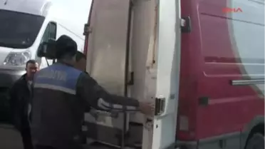 Kaçak Avlanan 11 Kasa Çinekopa El Konuldu