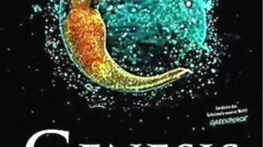 Yaradılış: Büyük Sır – Nereden Geliyoruz? Filmi