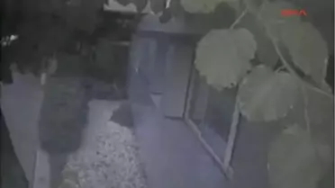 İzmirekgüler Teyze, Oğlundan Kargo Var Diyerek Dehşeti Yaşatmışlar