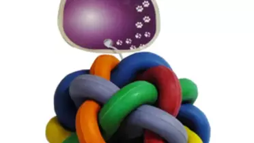 Sevimli Dostlarınız Yeni Yılda Unutulmuyor