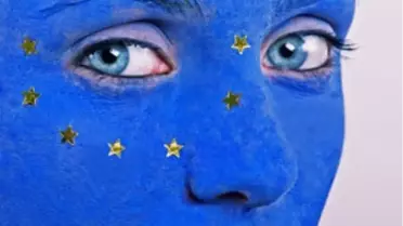 Avrupa Mali Birlik Konusunda Bölündü