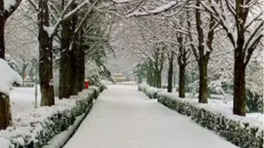 Yoğun Kar Yağışı Bursa-Ankara Yolunu Trafiğe Kapadı (2)