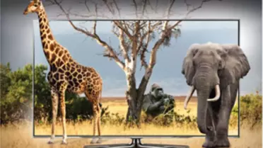 Samsung ile Doğayı Keşfedin