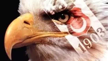 Beşiktaş'ın Gizli Kahramanları