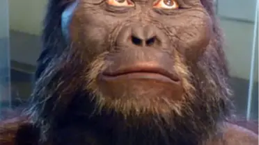 Ukrayna'da Neandertallere Ait Ev Bulundu